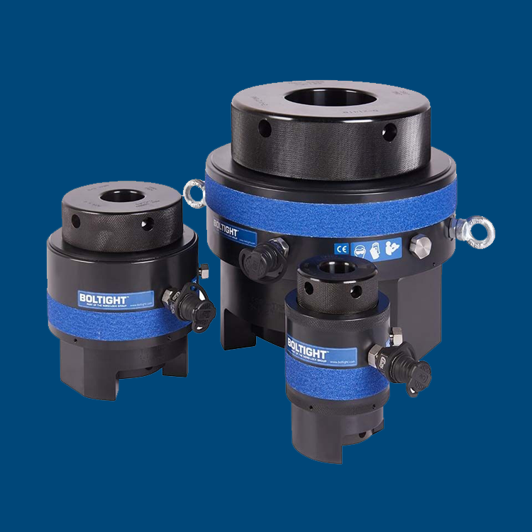 Boltight Gergiler.png