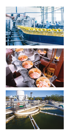 Helisel Dişli Redüktörlü Motor BG Serisi.png