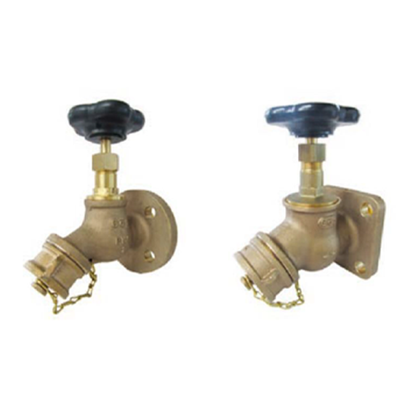 TRAFO VANALARI 2.png