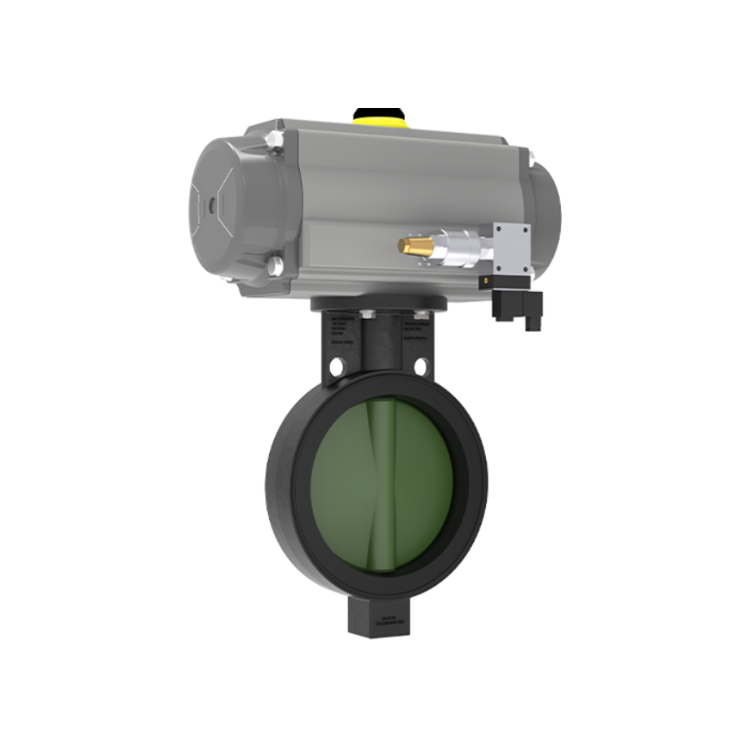 kelebek vanaları.png