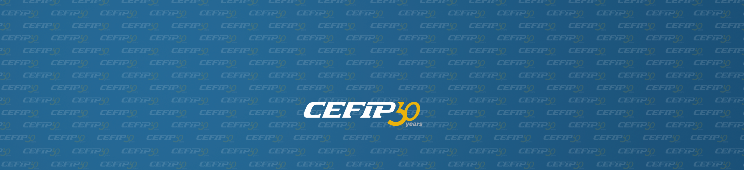 cefip 30.yıl zemin.png